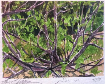 Thicket Thicket
